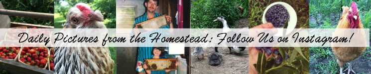 Instagram κολάζ ολόκληρο fed homestead