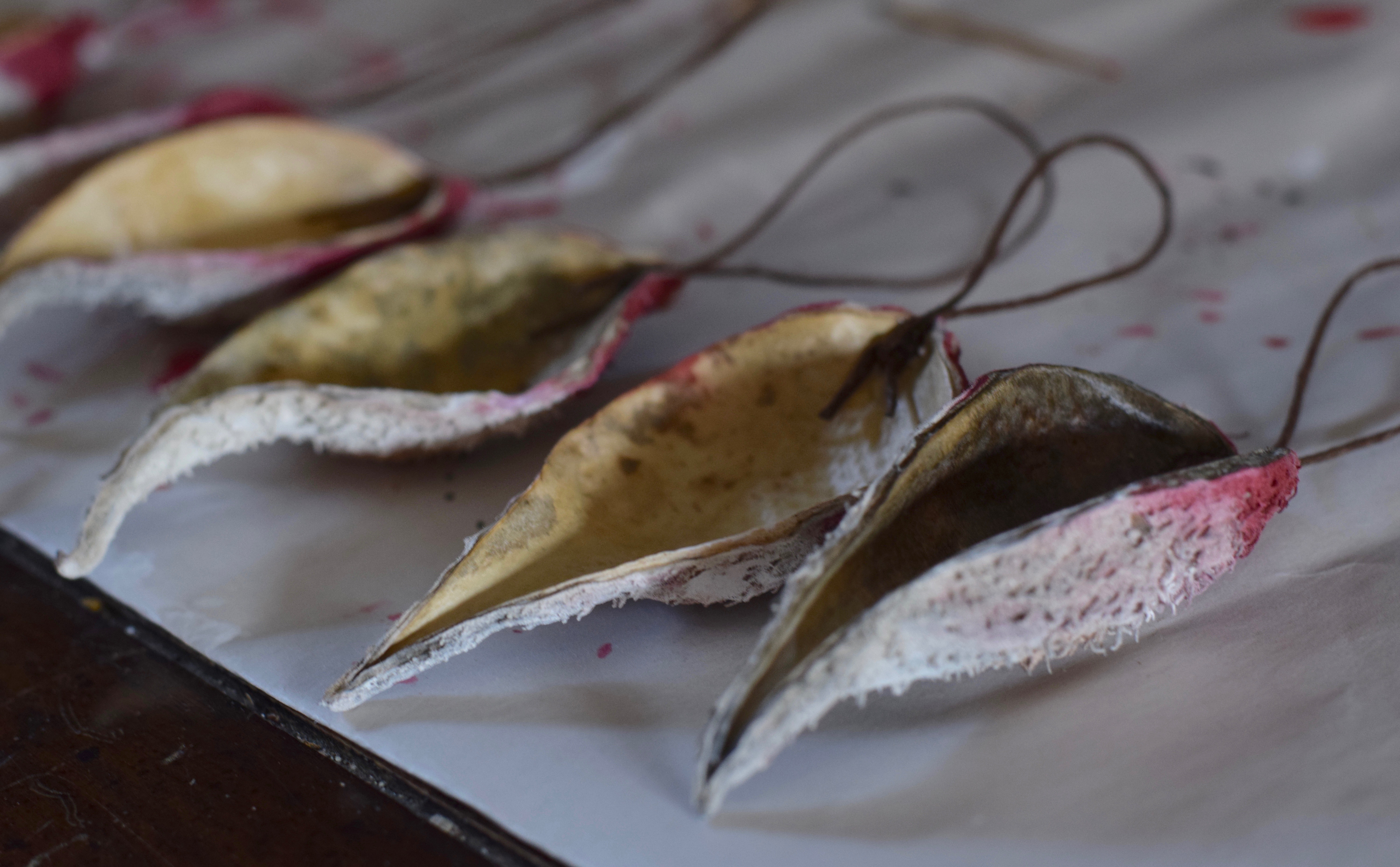 MilkWeed Pod Santa Ornaments {Χειροποίητο δώρο} ρουστίκ φυσικό φθηνό φαινόμενο | Ομοίως