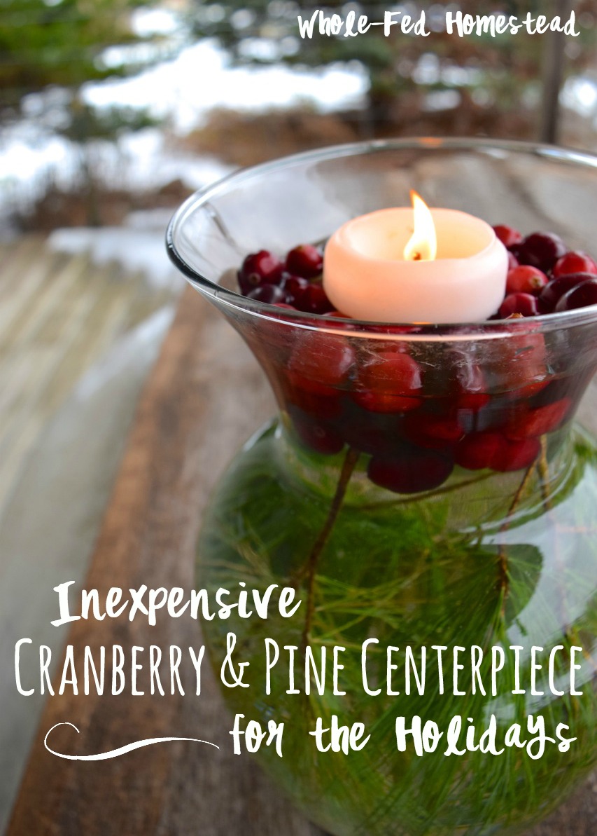 Χαρακτηριστικό Cranberry Pine Centerpeice