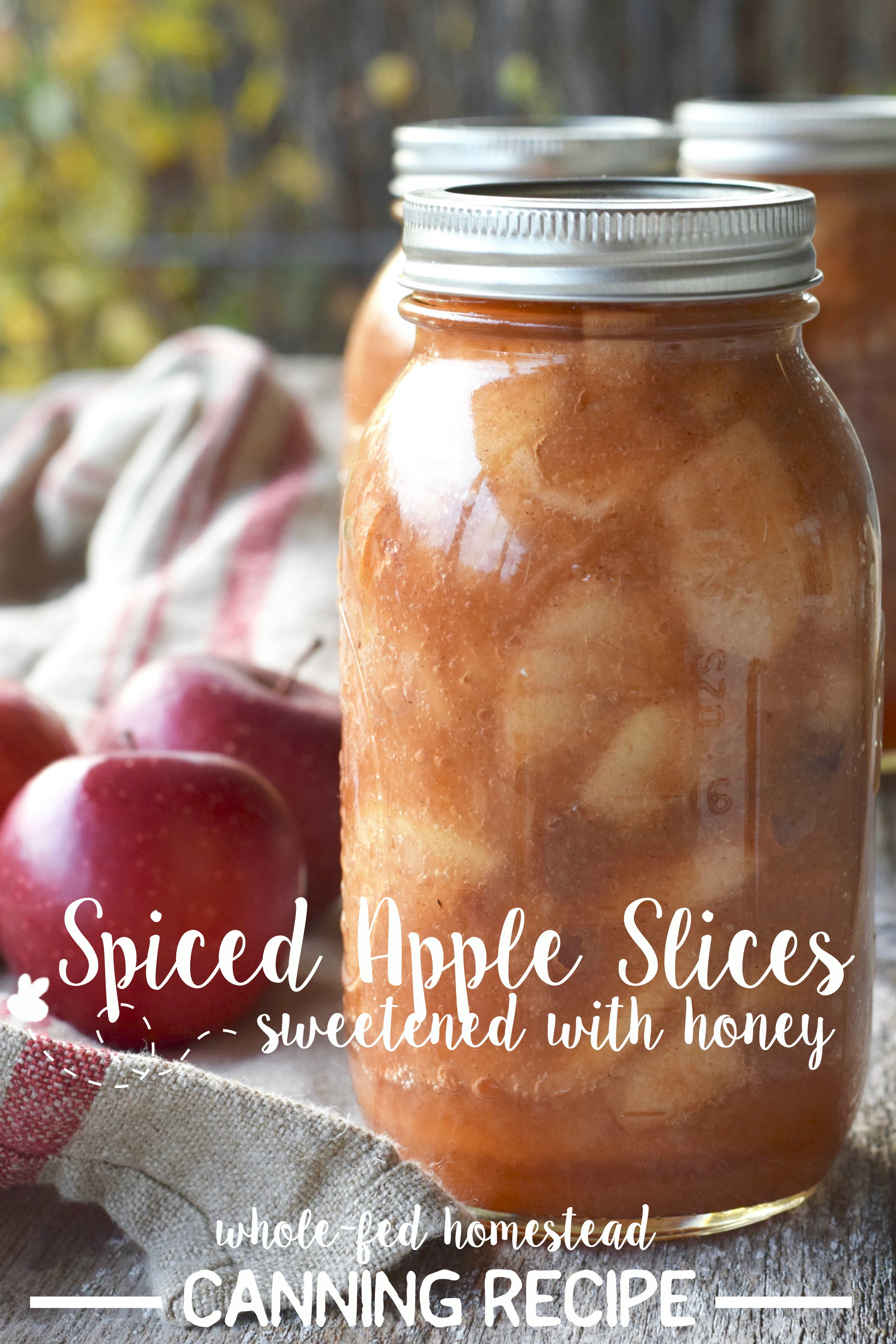 καρυκεύματα-apple-slices-recipe