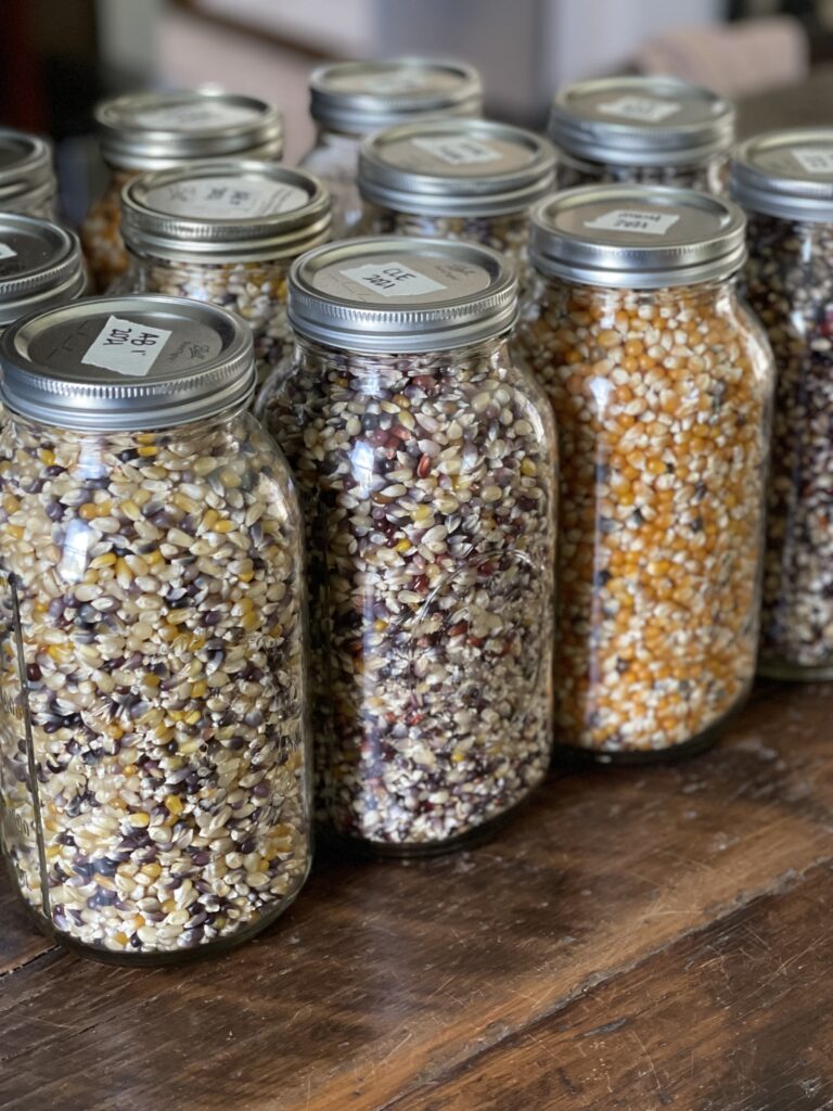 Πώς να αποθηκεύσετε το Homegrown Popcorn