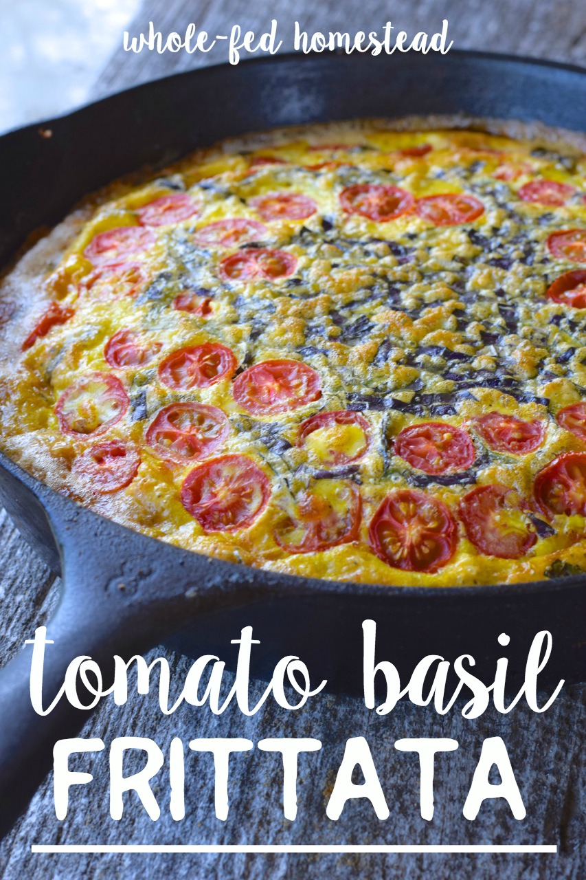 Ντομάτα βασιλική omelette fi