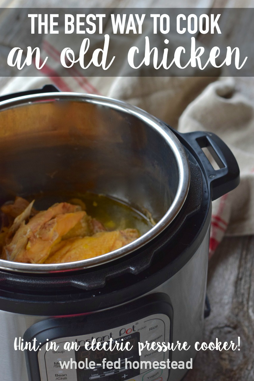 Instant Pot κοτόπουλο 2
